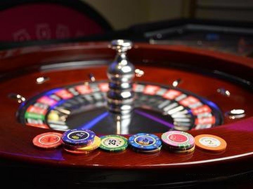 233 bet